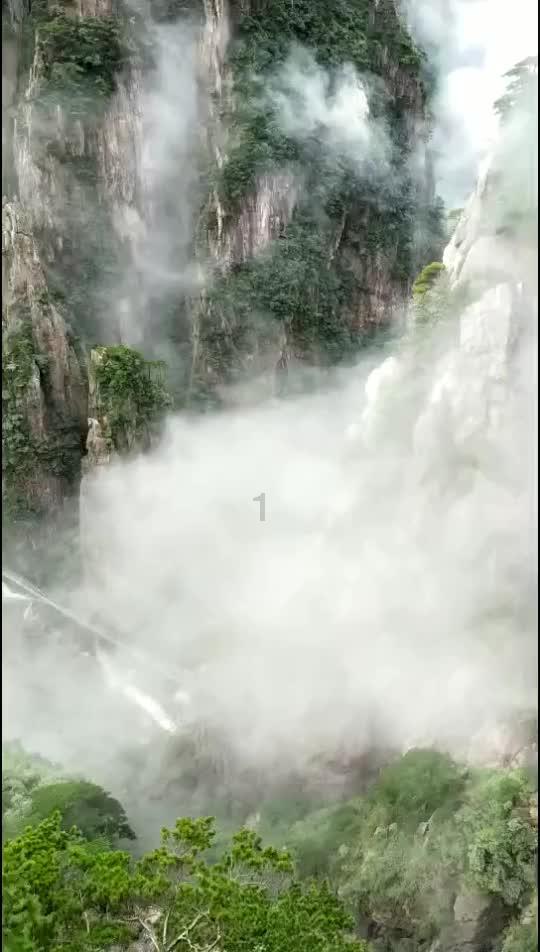 新春团聚,莫要贪杯 可以试试中药茶饮护肝养脾
